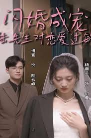 閃婚成寵，陸先生對(duì)戀愛(ài)過(guò)敏(全集)
